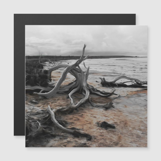 Lake Tyrrell Natural Forces Magnetic Card (Front/Back)