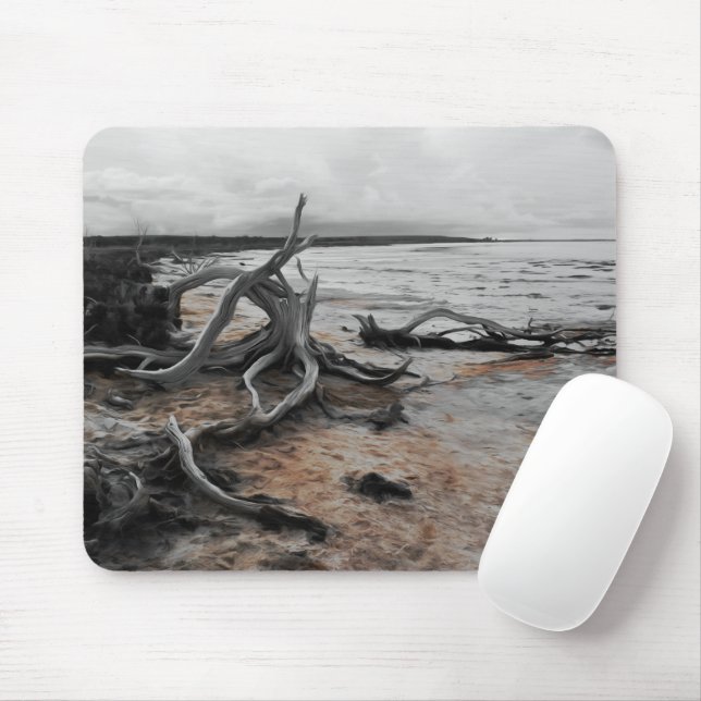 Lake Tyrrell Natural Forces Mouse Mat (With Mouse)