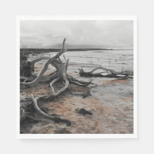 Lake Tyrrell Natural Forces  Napkin