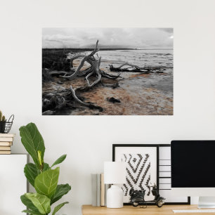 Lake Tyrrell Natural Forces Poster
