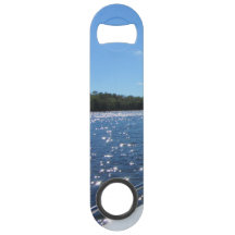 Lake Vermilion Sparkling Blue Waters