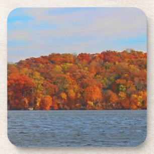 Lake View Coaster