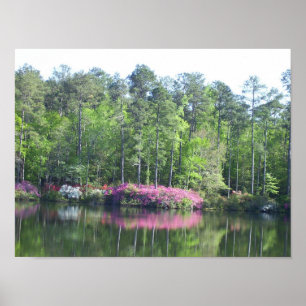 Lake View Poster