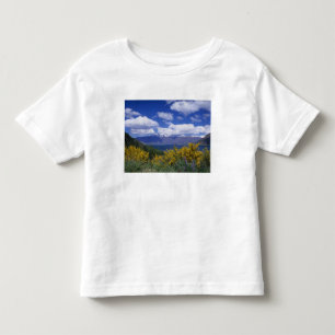 Lake Wakatipu and the Remarkables, Queenstown, Toddler T-Shirt