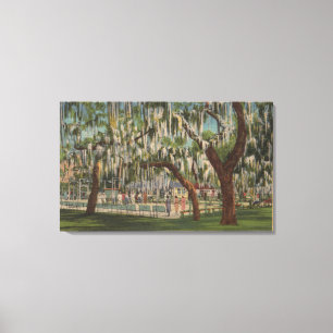 Lake Wales, FL - Outdoor View of Shuffleboard Canvas Print