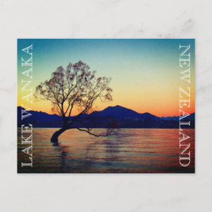 lake wanaka tree postcard
