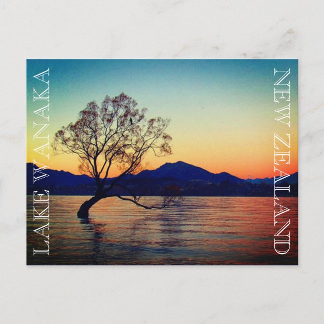 lake wanaka tree postcard (Front)