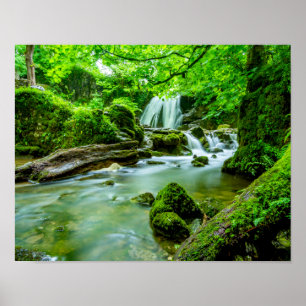 lake waterfall  poster