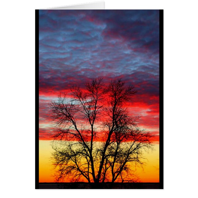 Lake Winnebago Sunset Resembling American Flag (Front)
