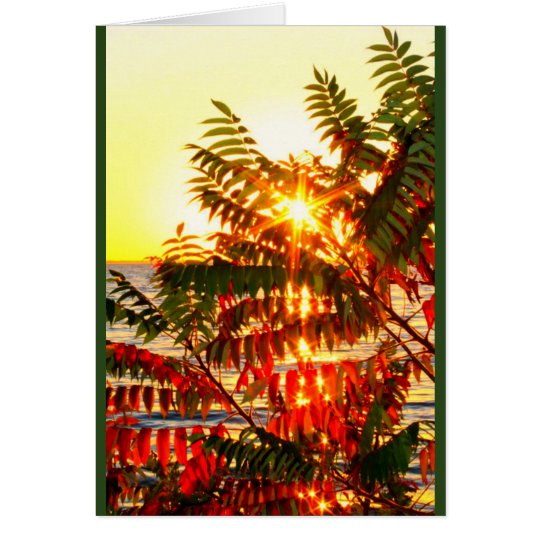 Lake Winnebago Sunset Thinking Of You Card
