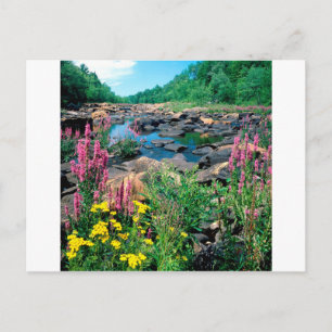 Lake Wisconsin River Ice Age Reserve Wisconsin Postcard