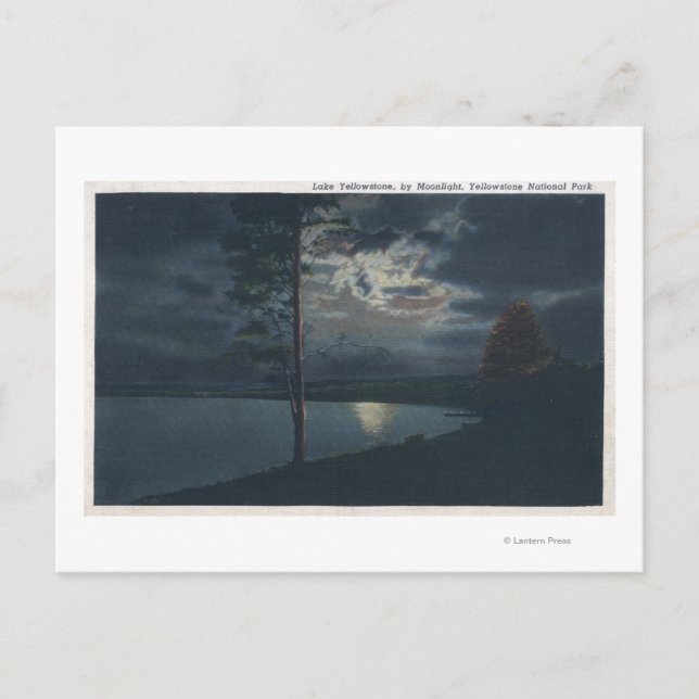 Lake Yellowstone, WYView of Lake by Moonlight Postcard (Front)