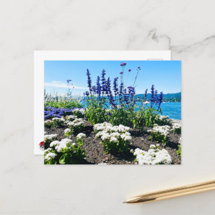 Lake Zurich Flowers Postcard