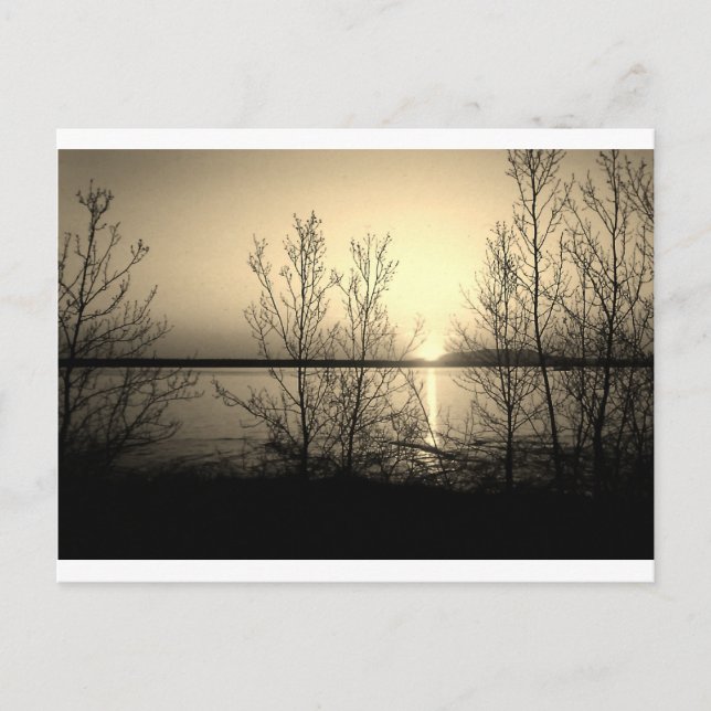 Lakefront trees and sunset postcard (Front)