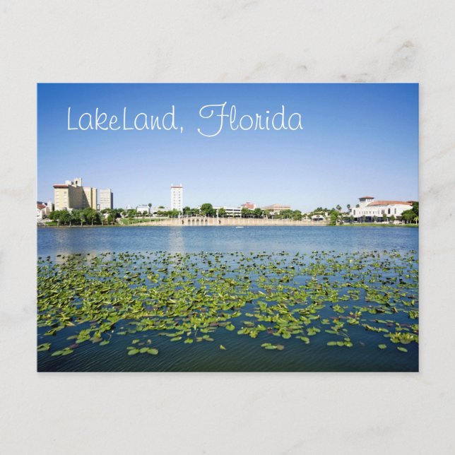 Lakeland, Florida, U.S.A. Postcard (Front)