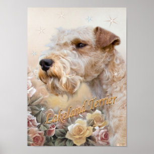 Lakeland Terrier Among Roses prints