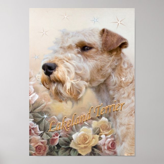 Lakeland Terrier Among Roses prints (Front)