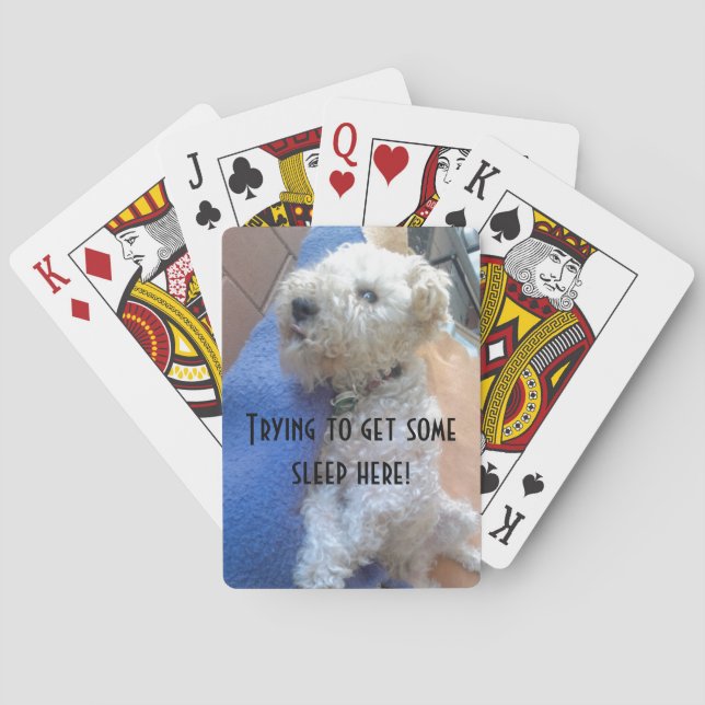 Lakeland terrier bicycle cards (Back)