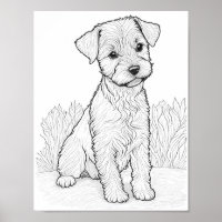 Lakeland Terrier Dog Adult Colouring