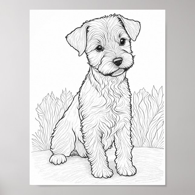 Lakeland Terrier Dog Adult Colouring Poster (Front)