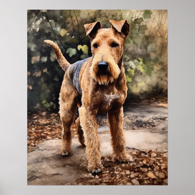 Lakeland Terrier Dog Art Print Poster (Front)