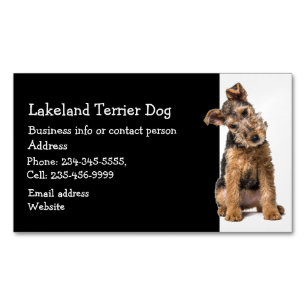 Lakeland Terrier Dog Breeder Pet Sitter  Magnetic Business Card