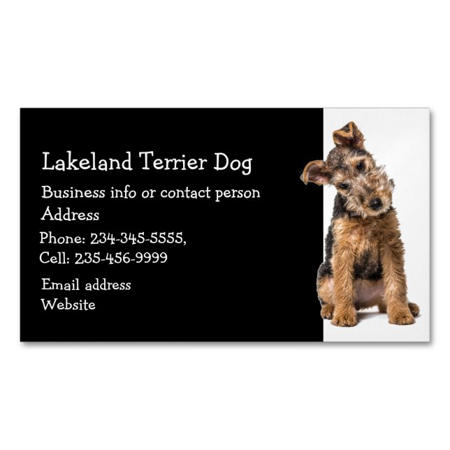 Lakeland Terrier Dog Breeder Pet Sitter  Magnetic Business Card (Front)