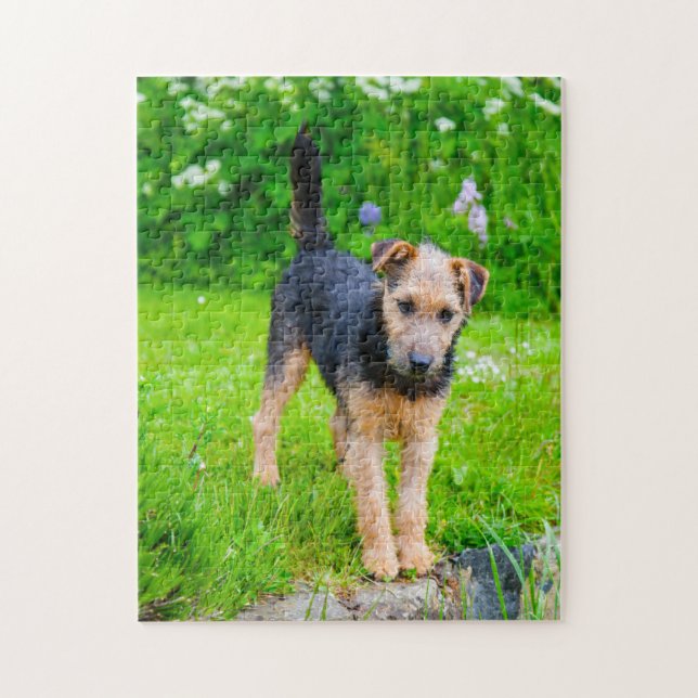 Lakeland Terrier Dog. Jigsaw Puzzle (Vertical)