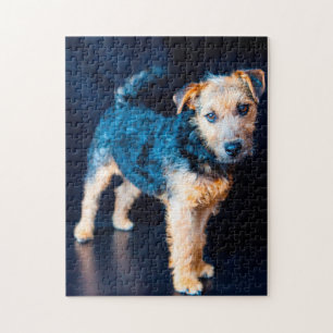 Lakeland Terrier Dog. Jigsaw Puzzle