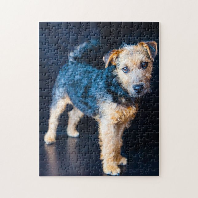 Lakeland Terrier Dog. Jigsaw Puzzle (Vertical)