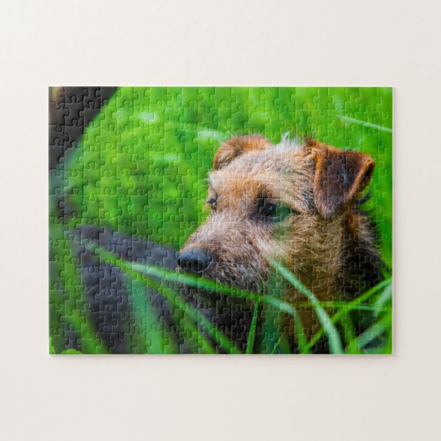 Lakeland Terrier Dog. Jigsaw Puzzle (Horizontal)