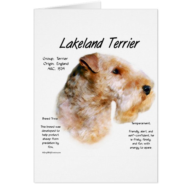 Lakeland Terrier History Design (Front)