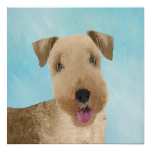 Lakeland Terrier Painting - Cute Original Dog Art Poster