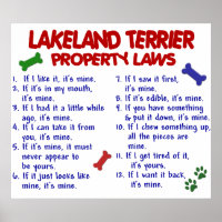 LAKELAND TERRIER PL2