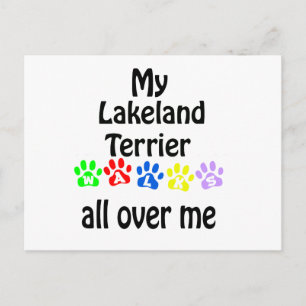 Lakeland Terrier Walks Design Postcard