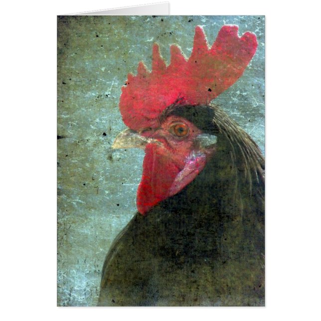 Lakenvelder Rooster With Texture (Front)