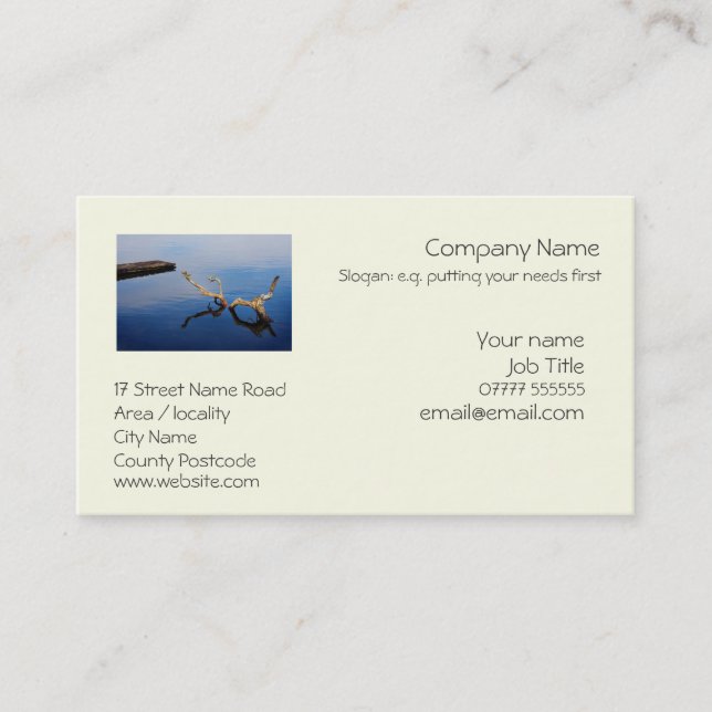 Lake's Edge tranquil scene therapy Business Card (Front)
