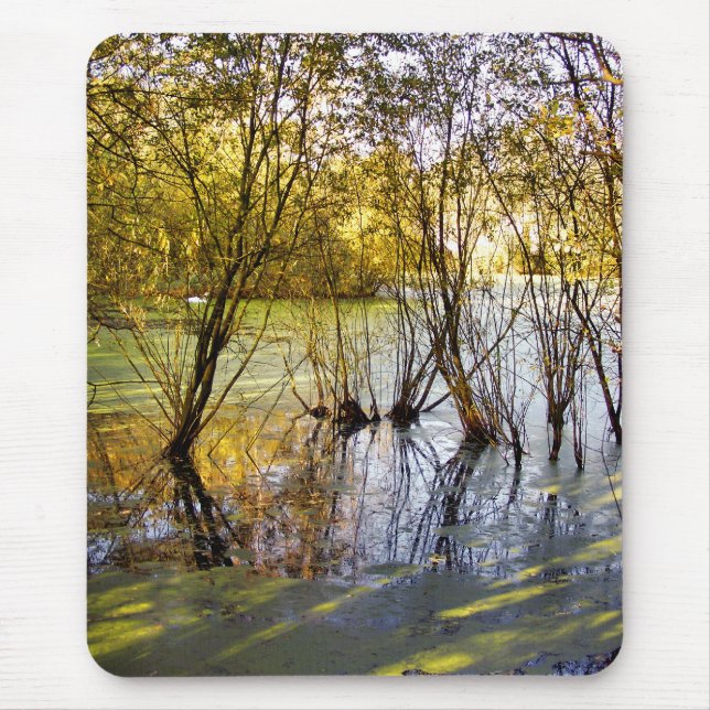 LAKES MOUSE MAT (Front)