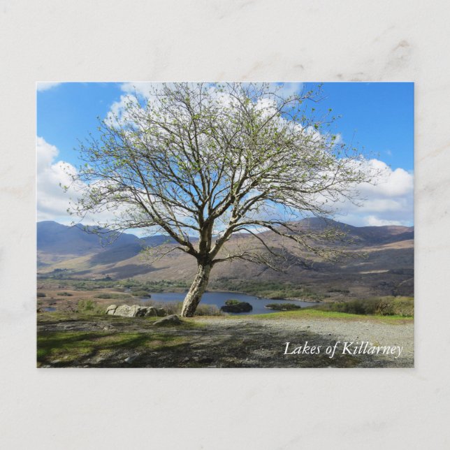 Lakes of Killarney postcard (Front)