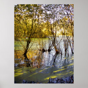 LAKES POSTER