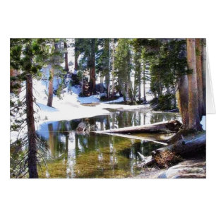 Lakes Trees Forrests
