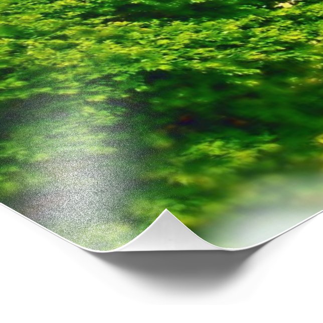 Lakeshores of Chicago Beach Photo Print (Corner)