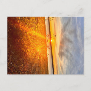 Lakeside Breeze Postcard