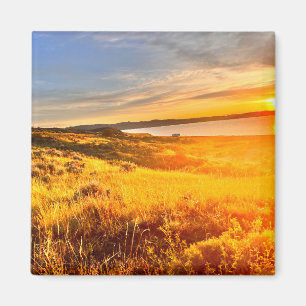 Lakeside Field Magnet
