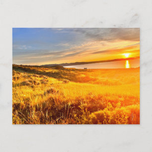 Lakeside Field Postcard
