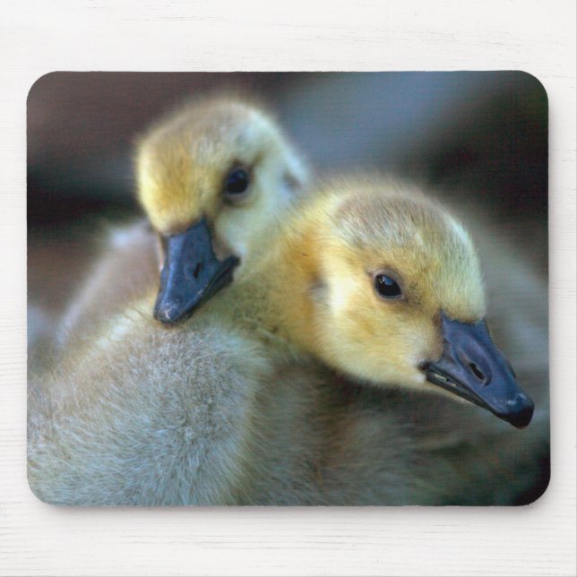 Lakeside Mouse Mat (Front)