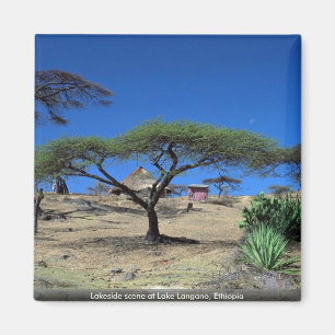 Lakeside scene at Lake Langano, Ethiopia Magnet