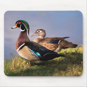 Lakeside, Wood Duck Mouse Mat