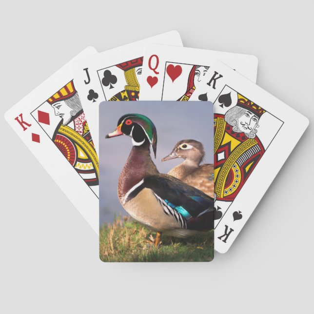 Lakeside, Wood Duck Playing Cards (Back)