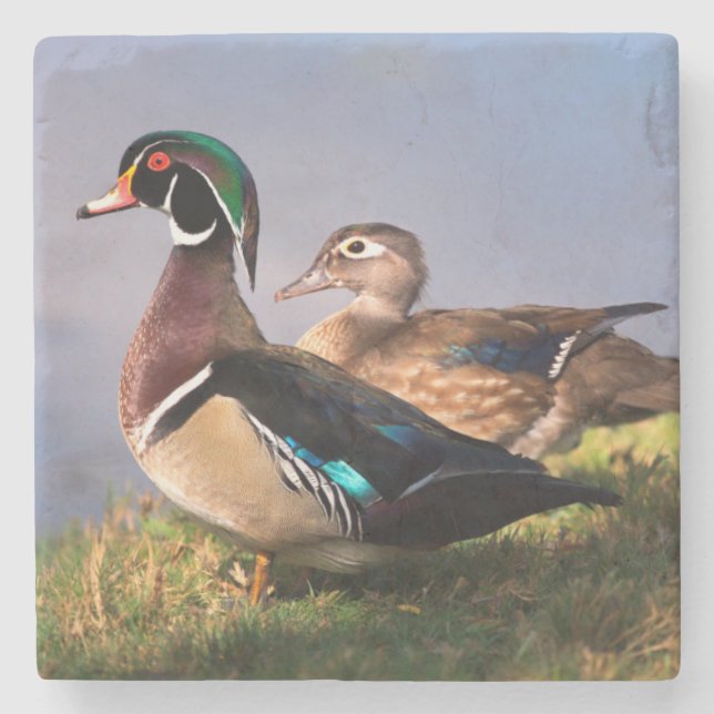 Lakeside, Wood Duck Stone Coaster (Front)